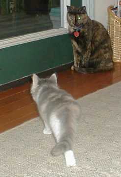 cnedra and missy.jpg (8734 bytes)