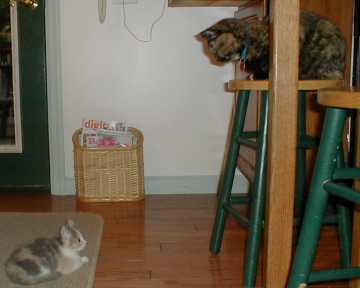standoff.jpg (9206 bytes)